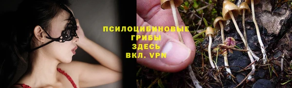 альфа пвп Дмитриев