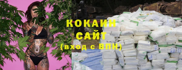 крисы Дмитров
