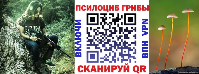 Галлюциногенные грибы MAGIC MUSHROOMS  кракен онион  Рошаль 